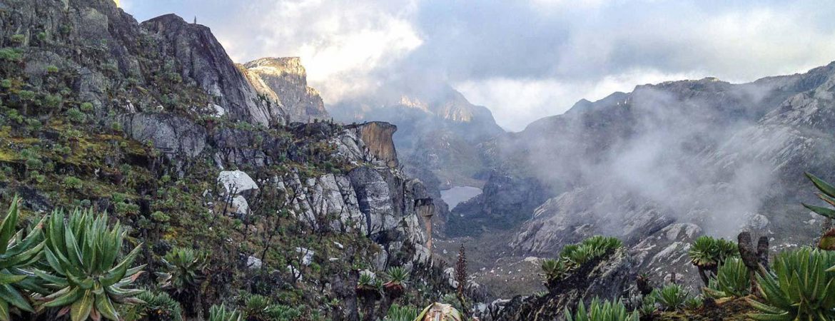 13 Days Rwenzori Hike & Bwindi Gorilla Trekking