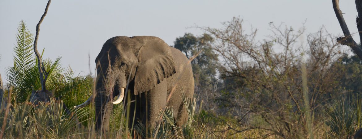 14 Days Uganda Getaway Holiday