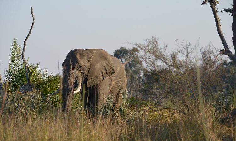 14 Days Uganda Getaway Holiday