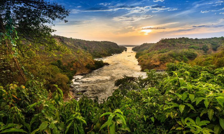 3 Days Murchison Falls Wildlife Safari