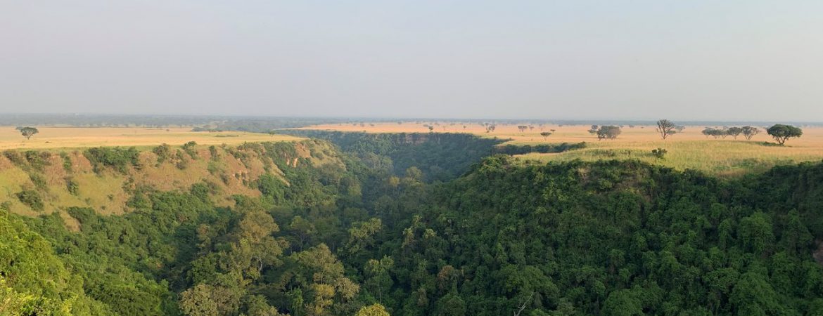 3 Days Queen Elizabeth Wildlife & Chimpanzee Safari