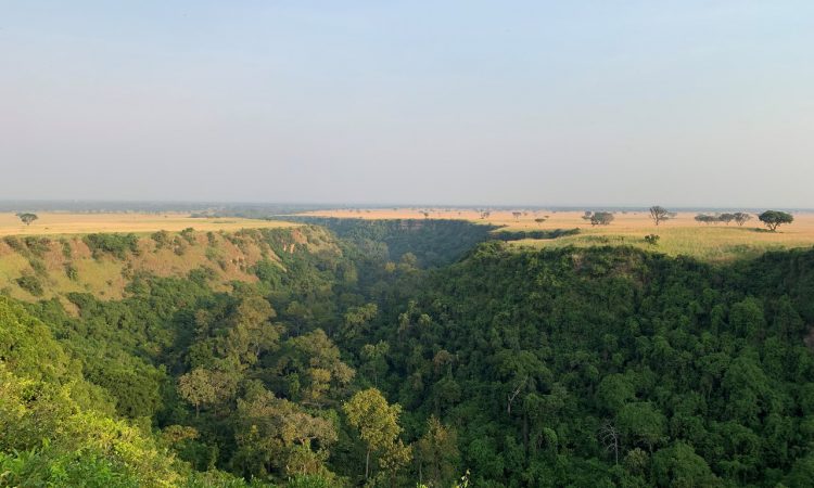 3 Days Queen Elizabeth Wildlife & Chimpanzee Safari