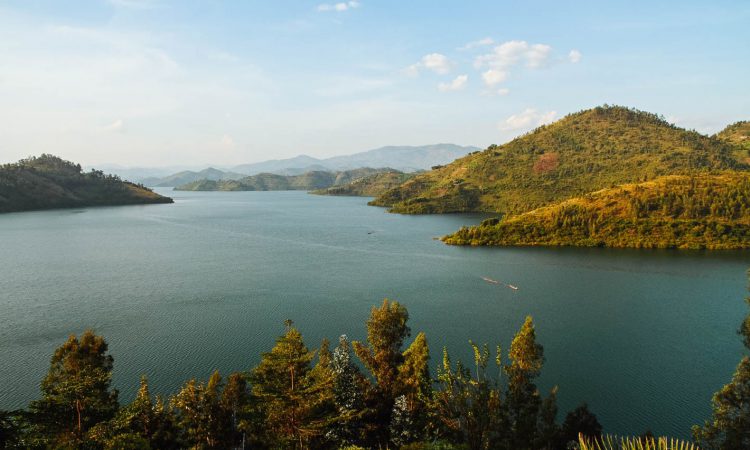 4 Days Nyungwe Forest & Lake Kivu Safari