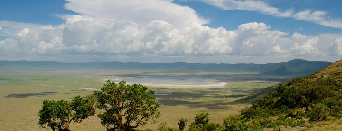 4 Days Serengeti & Ngorongoro Crater Safari