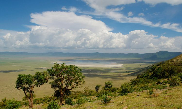 4 Days Serengeti & Ngorongoro Crater Safari