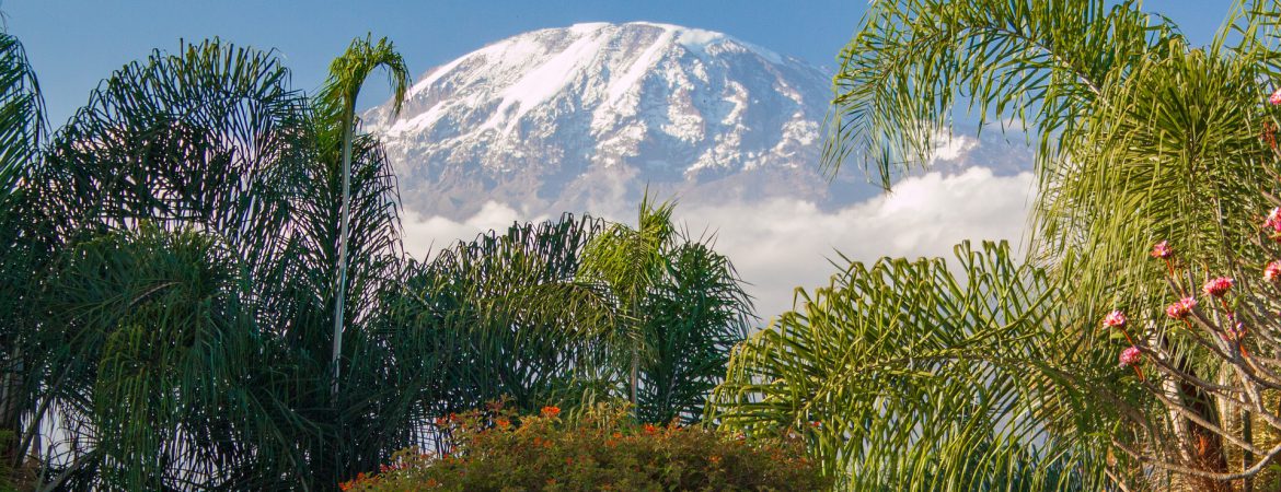8 Days Mount Kilimanjaro Hiking Safari