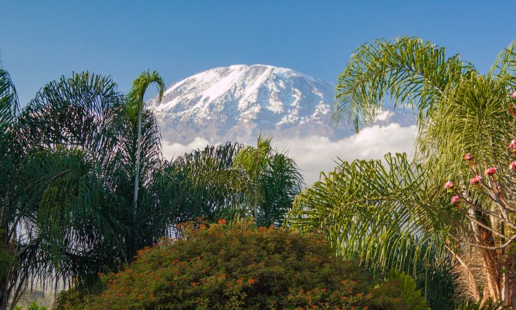 8 Days Mount Kilimanjaro Hiking Safari