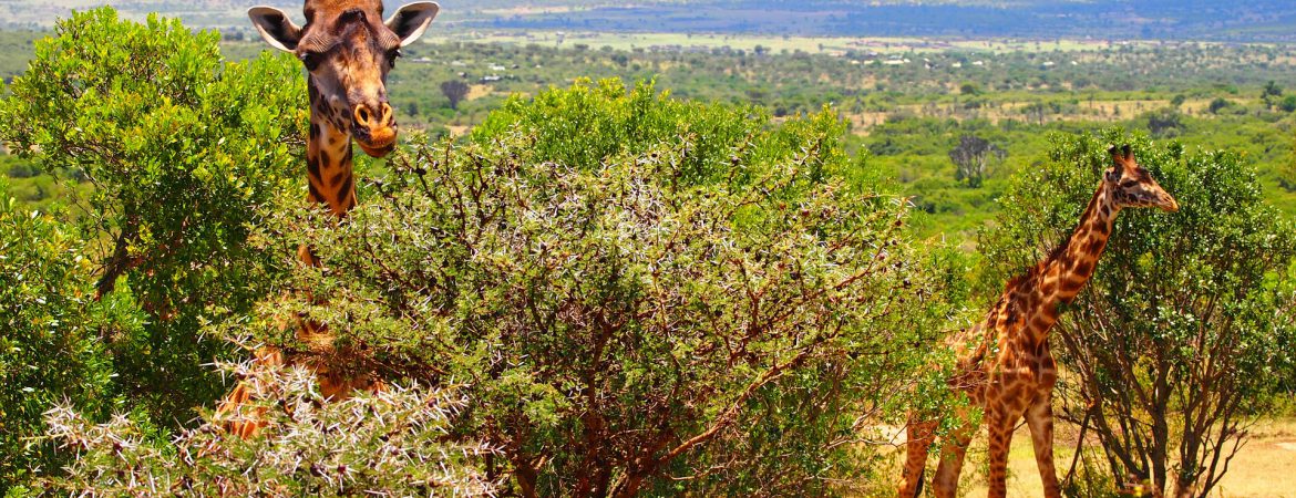 9 Days Uganda Expedition